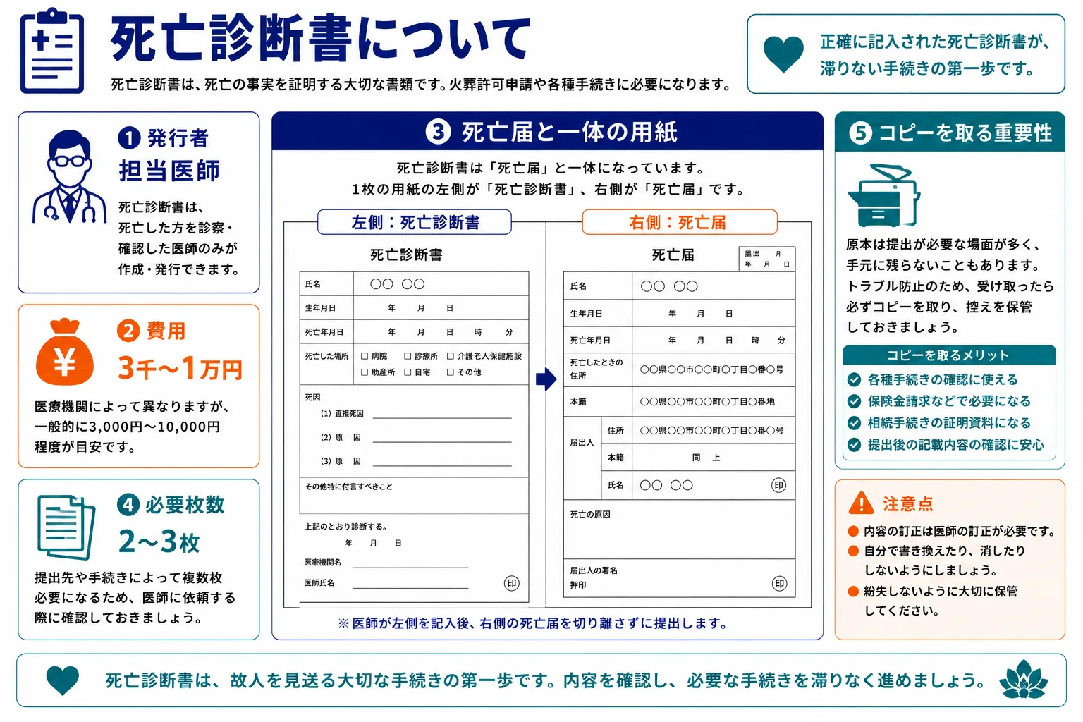 死亡診断書について｜発行者・費用・死亡届との一体用紙・コピーの重要性をまとめたインフォグラフィック