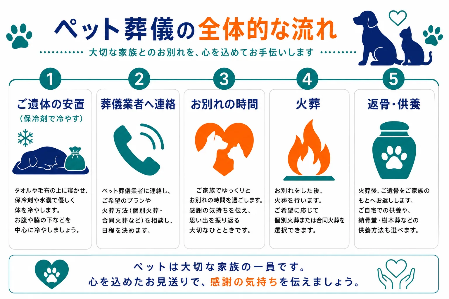 ペット葬儀の全体的な流れ｜ご遺体の安置・葬儀業者へ連絡・お別れの時間・火葬・返骨供養の5ステップを時系列で示したインフォグラフィック